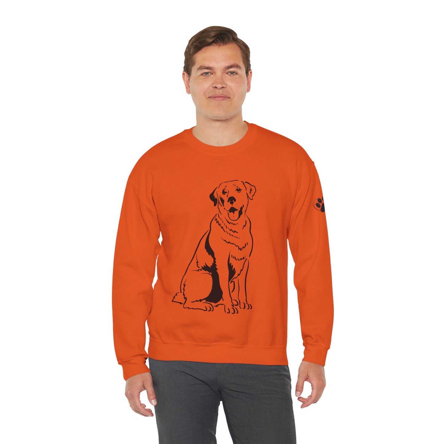 Labrador Sweatshirt