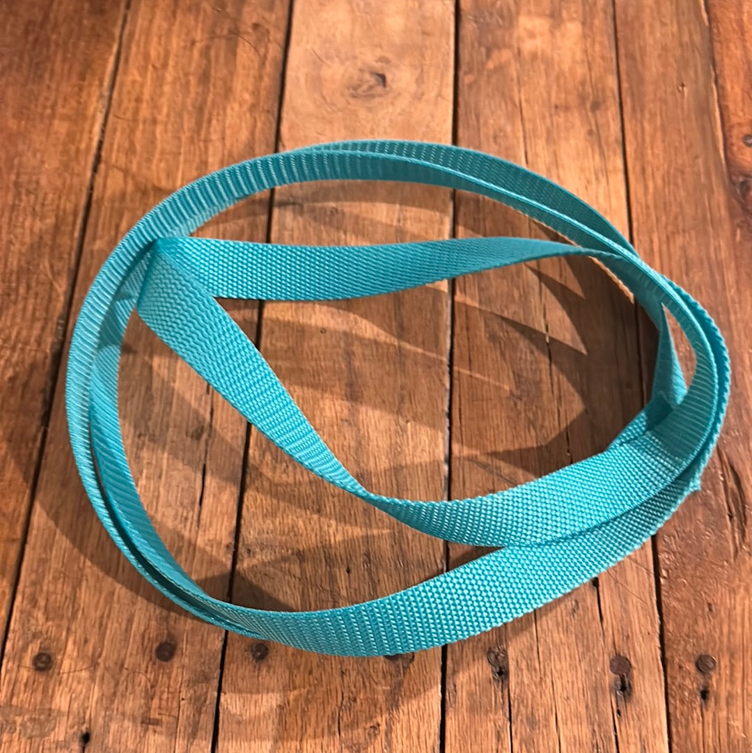 Touch free leash